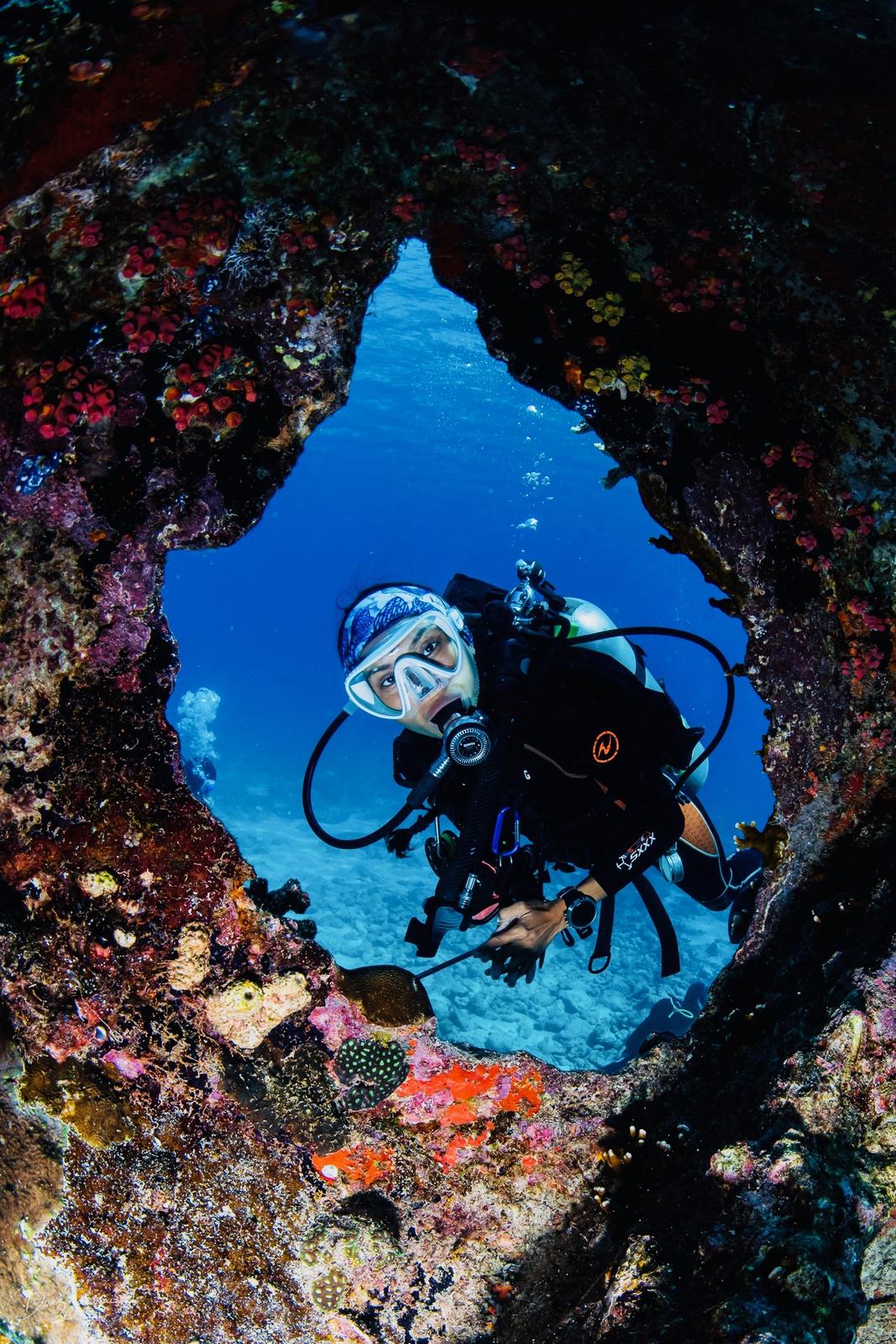 A diver in a pink sea whip garden on a blue Siargao wall