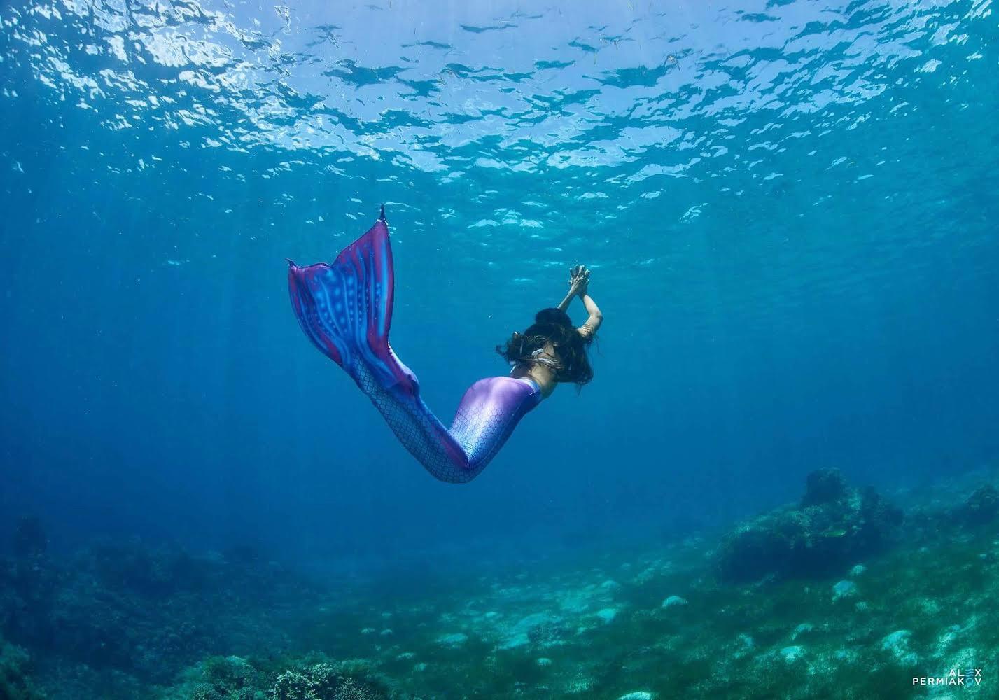 A mermaid swimmer over the reef