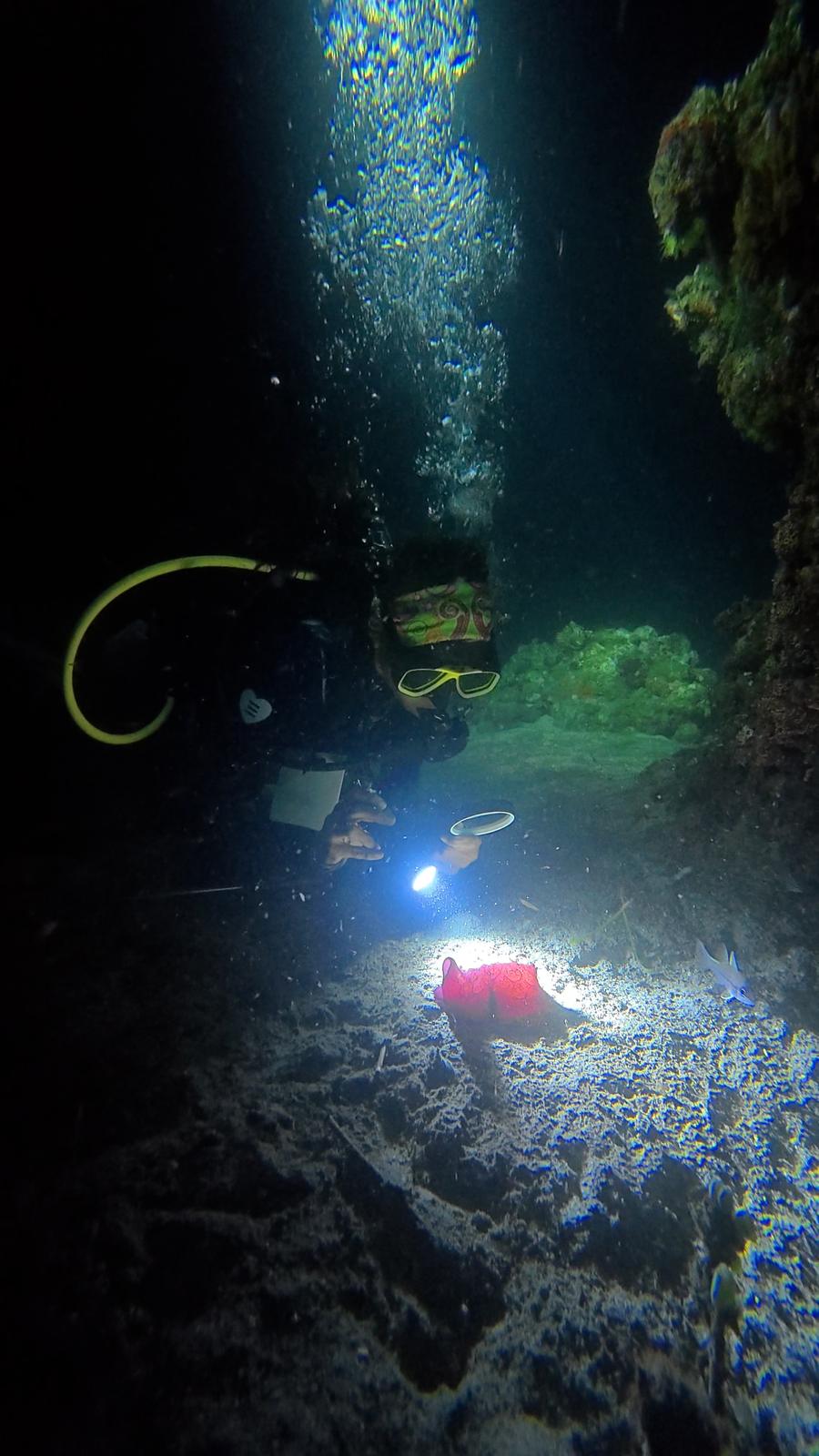 A diver with a torch in a crevice