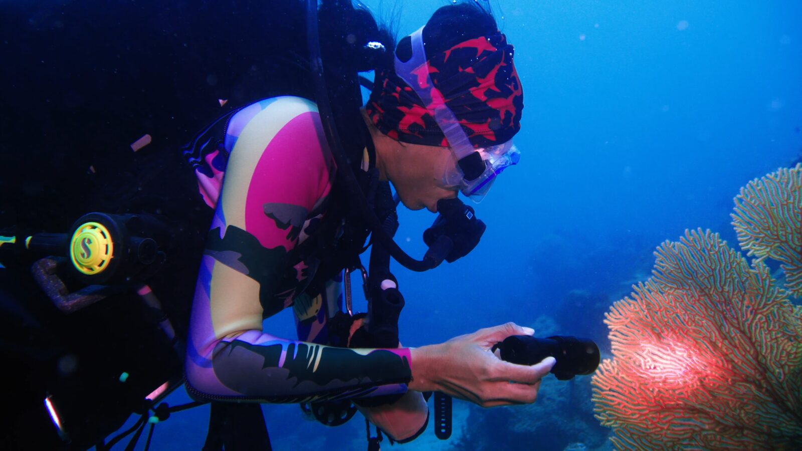 A diver lighting up a red sea fan
