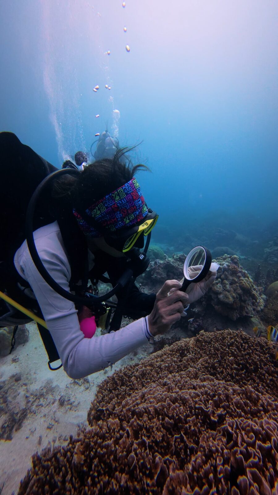 A diver checking coral up close with a magnifier